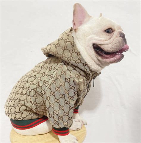 hundebekleidung gucci|gucci dog coats.